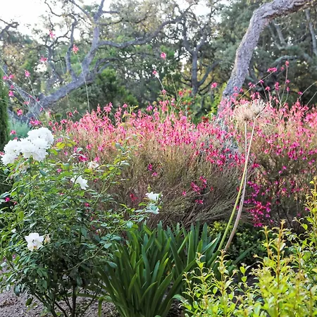 Villa La Cupulatta By Interhome