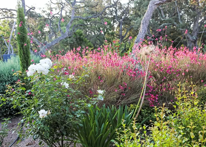 Villa La Cupulatta By Interhome